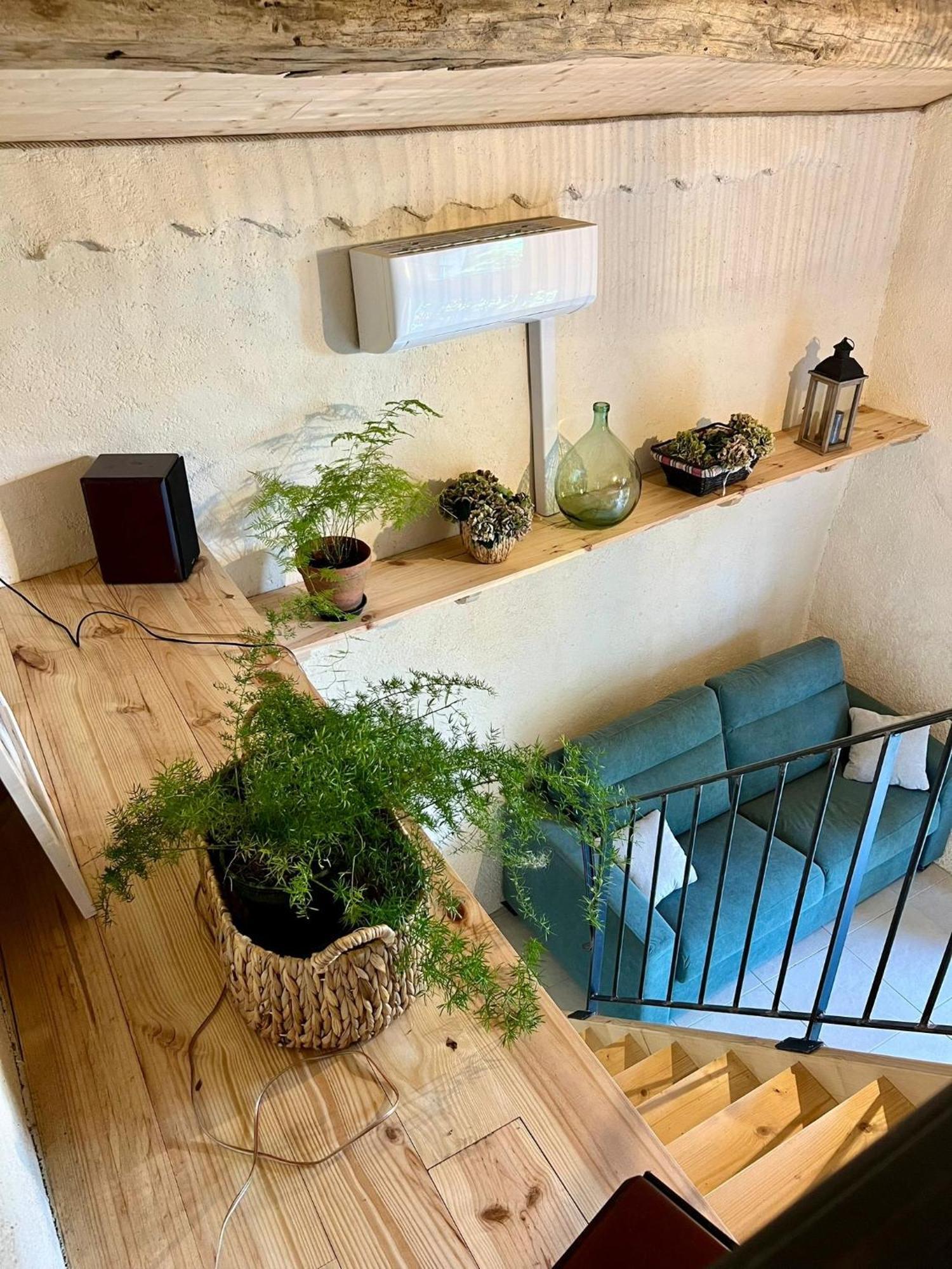 La Chambre Du Cantou Lautrec Eksteriør bilde